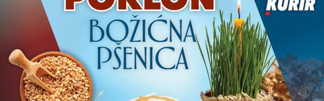 POSEJTE PRAZNIČNU RADOST: UPAKOVANA „BOŽIĆNA PŠENICA“ NA POKLON UZ KURIR U ČETVRTAK, 18. DECEMBRA
