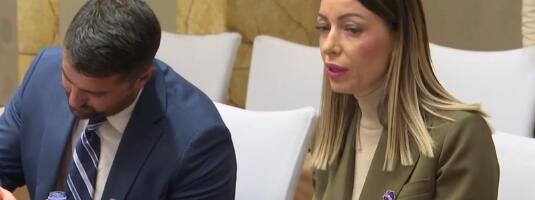 Андријана Месаровић: Српска вина ценовно конкурентна и већ препозната у Кини