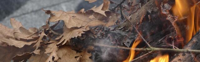 Veliki broj Nišlija na tradicionalnom paljenju badnjaka i lomljenju česnice