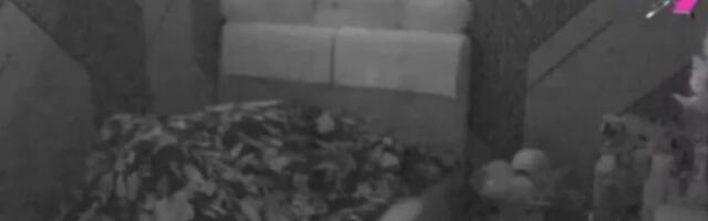 Trudna Anita u vreloj akciji: U cik zore se tresao rehab, kamera snimila sve