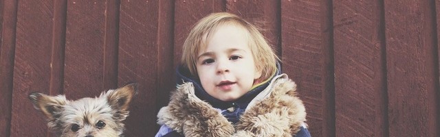 UMESTO LEKA ZA SMIRENJE: Ovo pogledajte kada ste pod stresom (VIDEO)