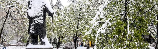 Popaljeni meteoalarmi širom Srbije: Temperatura pada na -20 stepeni