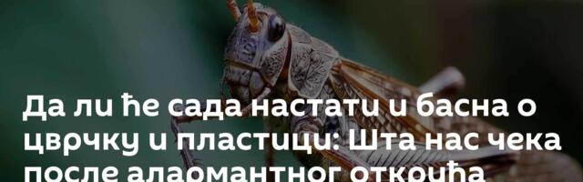 Да ли ће сада настати и басна о цврчку и пластици: Шта нас чека после алармантног открића научника