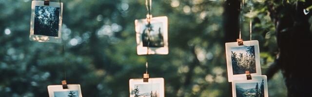 Fabrika nostalgije koja je zaradila milione preprodajući stare Polaroide