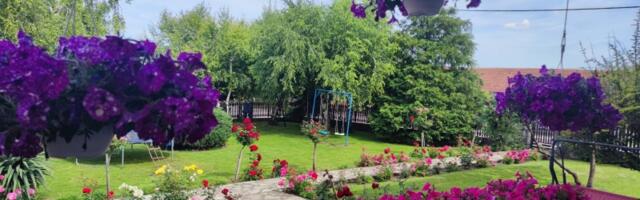 Izabrana NAJLEPŠA DVORIŠTA Šumadije (FOTO)
