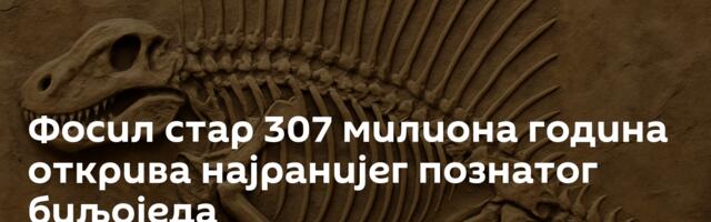 Фосил стар 307 милиона година открива најранијег познатог биљоједа