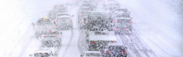 HAOS KAKAV SE NE PAMTI! Vojvodina na udaru ledene oluje, sneg veje, a OVO su snimci užasa sa Fruške gore: Vozači zarobljeni u mraku, kolone se ne mrdaju! (VIDEO)