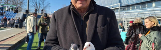 Свакодневни живот са „мировњацима”