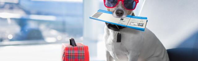 Nova pravila za Srbiju! Evo kako će sada funkcionisati putovanja sa kućnim ljubimcima u EU