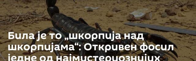 Била је то „шкорпија над шкорпијама“: Откривен фосил једне од најмистериознијих врста /видео, фото/