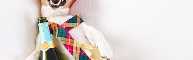 Istraživači iz Indije pronašli kombinaciju koja na najefikasniji način uklanja mamurluk