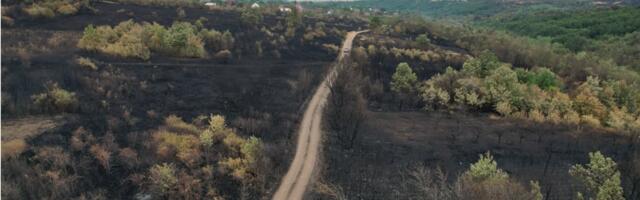 Umesto obećane vode, meštanima sela u okolini Žitorađe od 1. februara besplatan prevoz