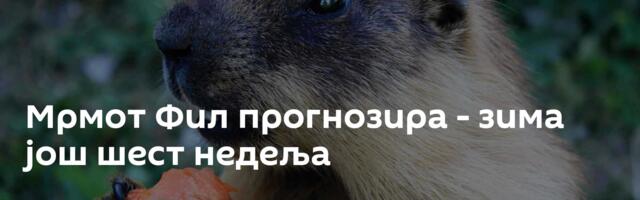 Мрмот Фил прогнозира - зима још шест недеља