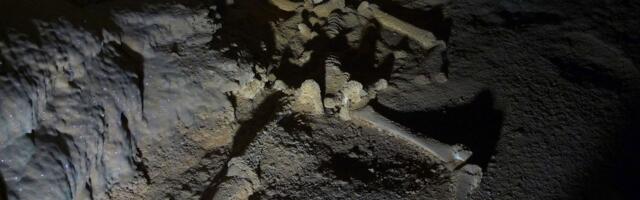 Otkriće staro 1.200 godina moglo bi rešiti misteriju kraha civilizacije Maja: Ovo niko nije očekivao!