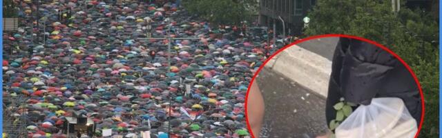 Dostojanstvena baka i cipele za protest (VIDEO)