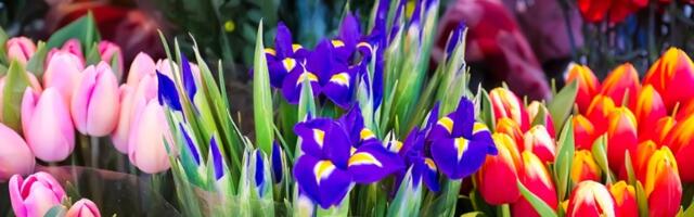 Ovo cveće se nikako ne poklanja za 8. mart: Veruje se da priziva nesreću i lošu energiju u odnos