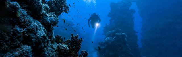 Čak i najdublji, najhladniji delovi okeana postaju topliji