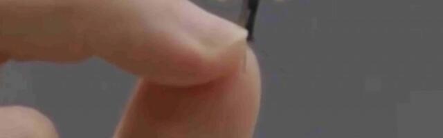 RAT NA VRHU PRSTA! Kina predstavila dron koji je veličine komarca (FOTO,VIDEO)