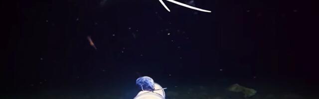 SPUSTIO KAMERU NA 200 METARA DUBINE Snimio stvorenje koje zbunjuje i naučnike: "Kojoj vrsti pripada?"