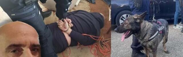 NANJUŠIO GA PAS TRAGAČ! Pogledajte kako je uhapšen osumnjičeni za dvostruko ubistvo u Nikšiću! (FOTO)