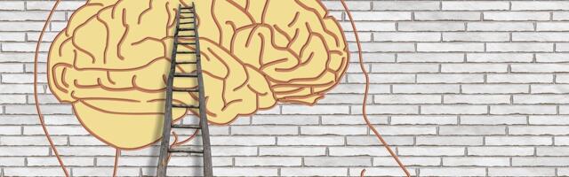 Zašto neke reči bolje pamtimo?