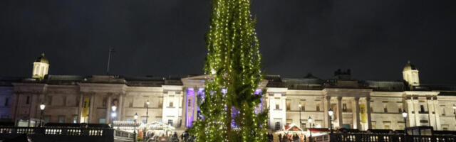 „Тмурни кактус“: Норвешка брани божићну јелку у Лондону