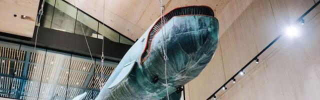 Muzej Beča otvara vrata na 25 jezika