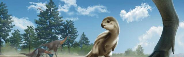 Rendgen fosila otkriva novu vrstu dinosaurusa nazvanu po čuvenom korejskom crtanom filmu