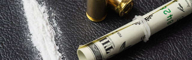 Povratak Holanđanina