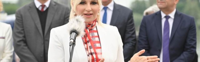 Mihajlović: Jeremića i Đilasa izbori ne zanimaju, žele da na vlast dođu nasiljem