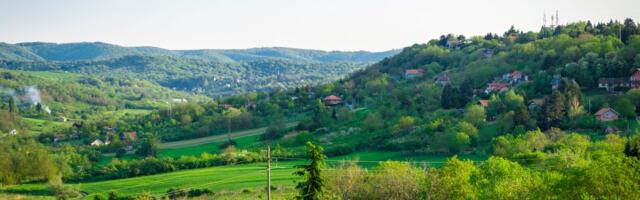 Na Iriškom vencu obeležena 85. godišnjica podizanja antifašističkog ustanka