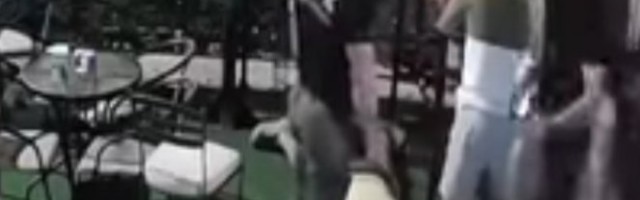 SNIMAK RACIJE IZAZVAO VELIKU BURU na Cetinju! Policajac rekao vlasniku lokala da legne, pa počeo da ga UDARA NOGOM! /VIDEO/