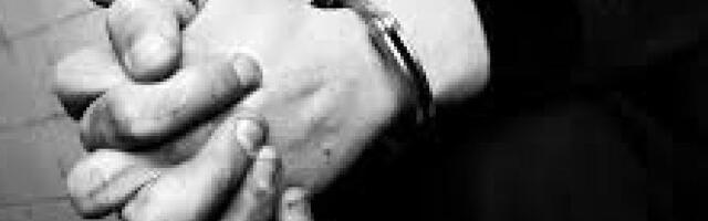 ZAPALIO ZASTAVU SRBIJE NA DAN ŽALOST! Policija iz Sombora uhapsila muškarca