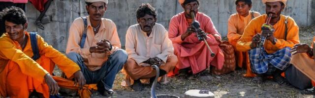 Selo u kom su zmije otrovnice kućni ljubimci