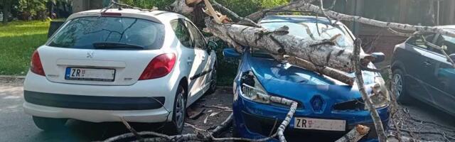 Nemili događaj u naselju Lesnina: Drvo palo na parkirane automobile