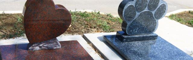 Zlatibor dobija GROBLJE ZA KUĆNE LJUBIMCE: Ovde će se sahranjivati životinje, a evo kako će izgledati