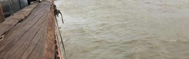 Raste vodostaj Save, raste i rizik od poplava! Novi talas padavina već sutra, a onda kreće i sneg da se topi!