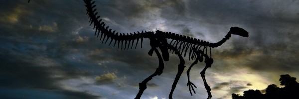 Sve više dokaza potvrđuje tezu da su dinosaurusi bili toplokrvna bića