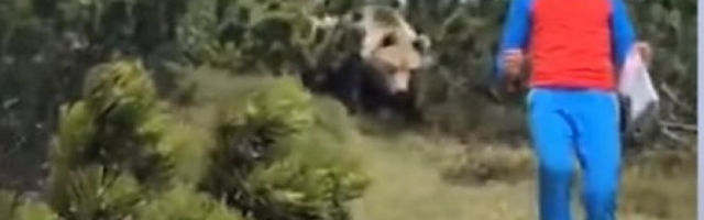 (VIDEO) DEČAK (12) NAŠAO SE OČI U OČI SA MEDVEDOM Pred očima prestravljenih roditelja ODIGRALA SE DRAMA ČIJI JE KRAJ SVE IZNENADIO