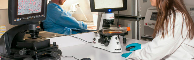 Veliko otkriće u borbi protiv raka: Novi uređaj precizno otkriva ćelijska oštećenja i ubrzano starenje