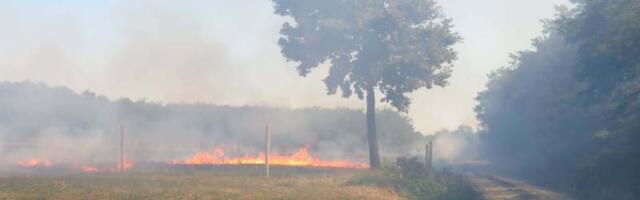 Ministarstvo poljoprivrede apelovalo da se ne pali strnjika