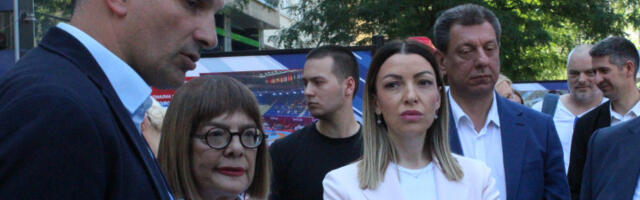 Месаровићева: Када Зрењанин побеђује, побеђује и Србија
