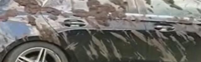 VIDEO: Farmer zasuo stajskim đubrivom nepropisno parkirane automobile bahatih turista