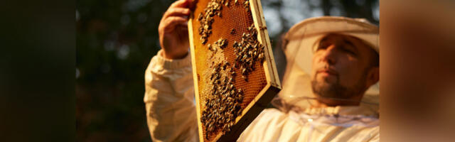 Štednja, zlato ili nekretnine: Kako da vam novac zarađuje, a da je uvek dostupan