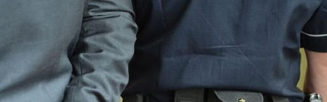 Uhapšeni jer su u promet pustili meso zaraženo trihinelozom