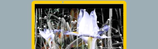 O video umetnosti Kostasa Pikadasa u četvrtak u Američkom kutku