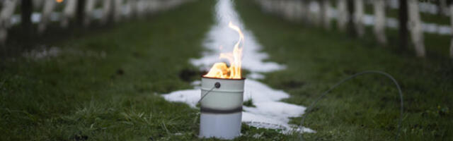 Воћари већ страхују од могућег мраза у првој декади априла