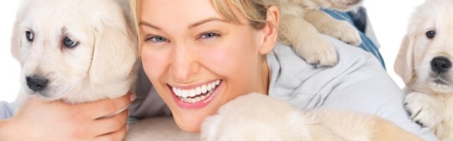 Ovo su pet rasa psa koji imaju najslađe štence, ne možete da im odolite