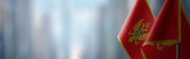 Šef Misije Crne Gore: Članstvo CG koštalo bi građanina EU svega 27 centi godišnje