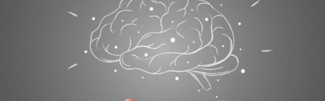 Нова открића: Адолесценција мозга траје до 32. године